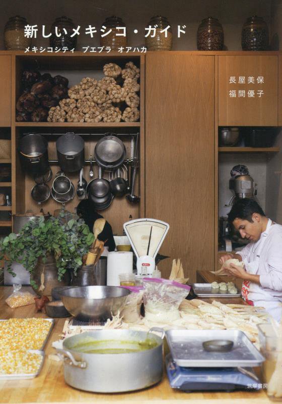 新しいメキシコ・ガイド　メキシコシティ　プエブラ　オアハカ　