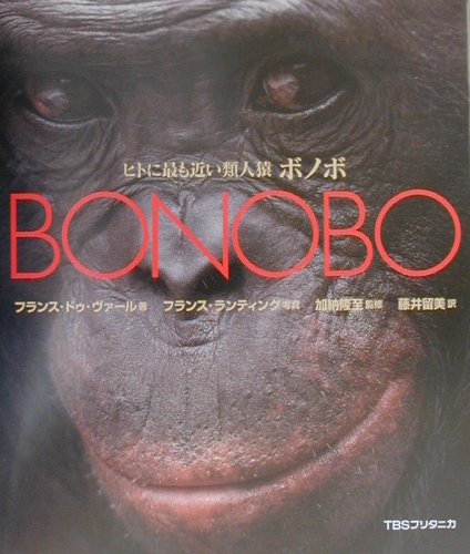 ヒトに最も近い類人猿ボノボ　