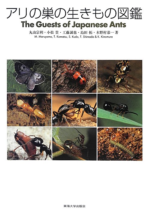 アリの巣の生きもの図鑑　