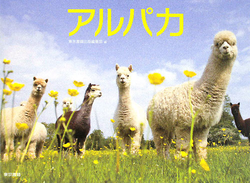 アルパカ　