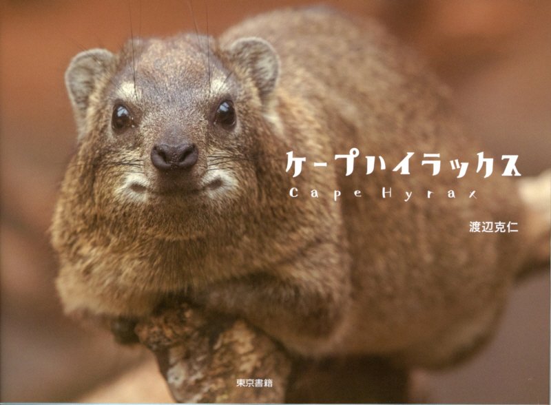 ケープハイラックス　