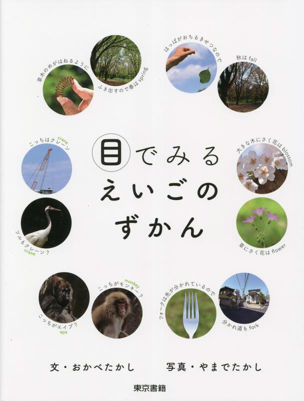 目でみるえいごのずかん　
