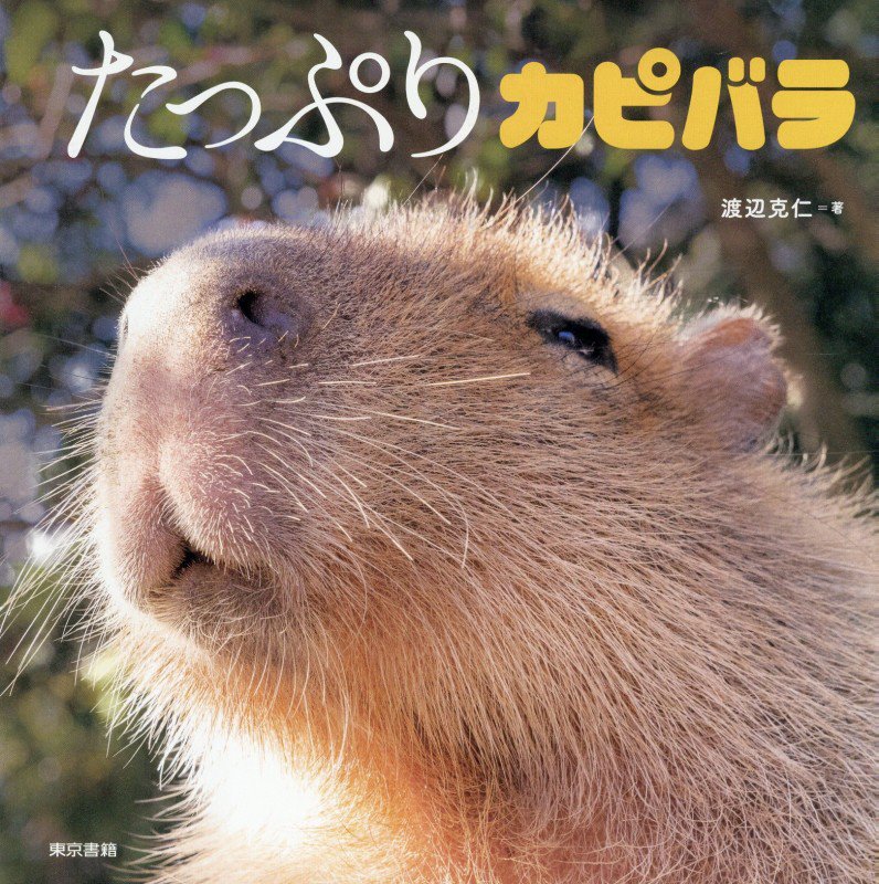 たっぷりカピバラ　