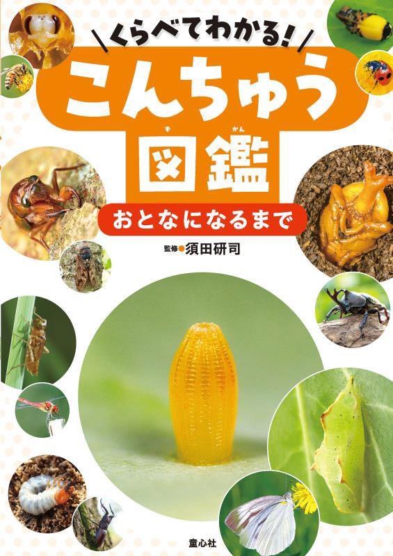くらべてわかる！こんちゅう図鑑　〔３〕　おとなになるまで