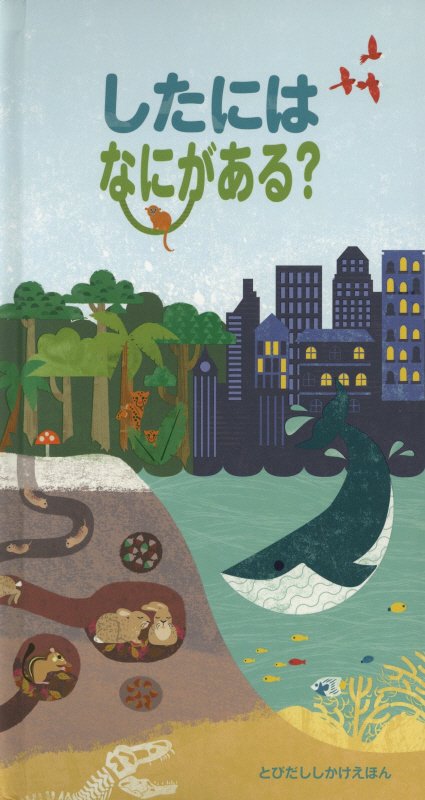 したにはなにがある？　　（とびだししかけえほん）