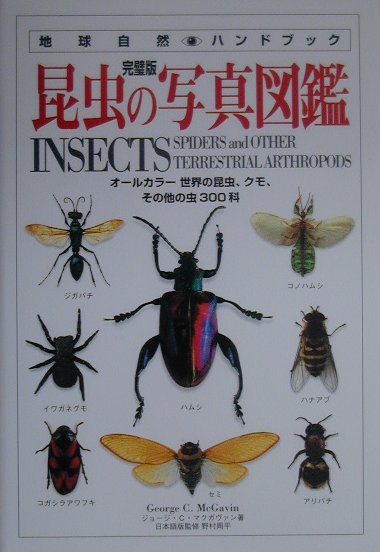 昆虫の写真図鑑　完璧版　　（地球自然ハンドブック）