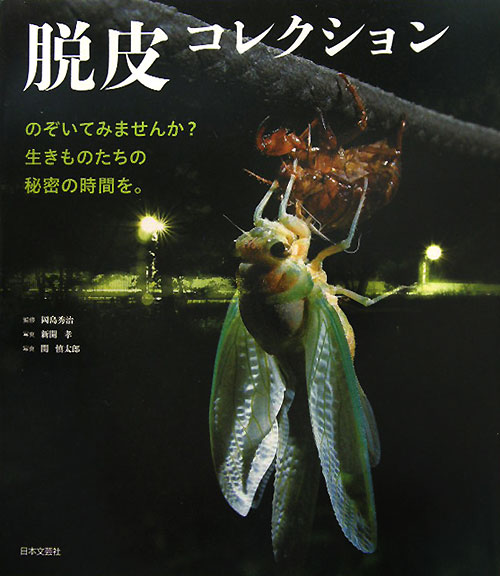 脱皮コレクション　のぞいてみませんか？生きものたちの秘密の時間を。　