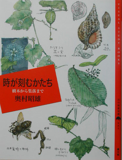 時が刻むかたち　樹木から集落まで　　（百の知恵双書　４）