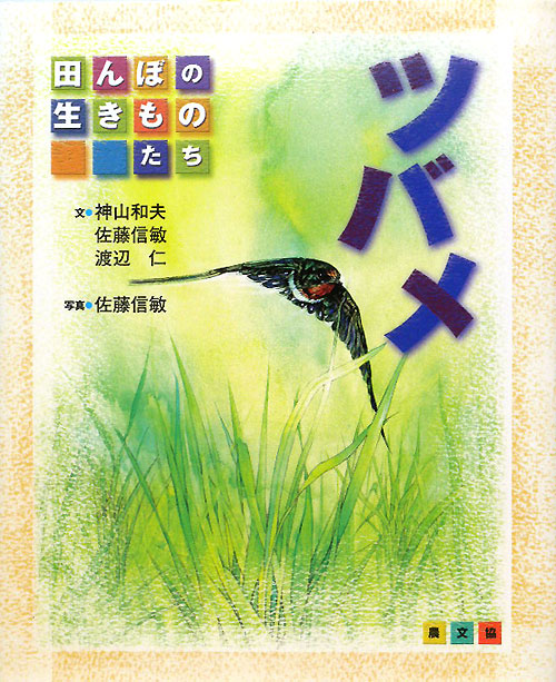 ツバメ　　（田んぼの生きものたち）
