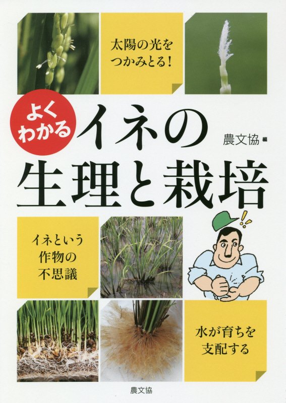 よくわかるイネの生理と栽培　