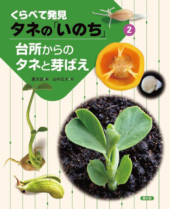 くらべて発見タネの「いのち」　２　台所からのタネと芽ばえ