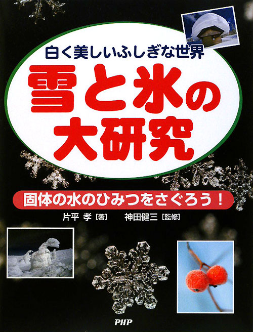 雪と氷の大研究　白く美しいふしぎな世界　固体の水のひみつをさぐろう！　