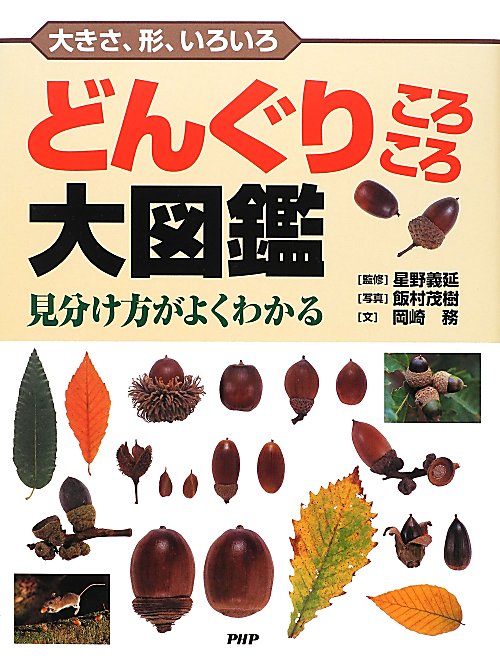 どんぐりころころ大図鑑　大きさ、形、いろいろ　見分け方がよくわかる　