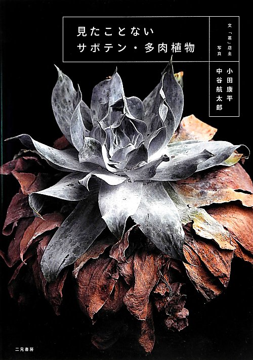 見たことないサボテン・多肉植物　