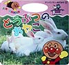 どうぶつのおやこ　　（アンパンマンとおでかけ　２）