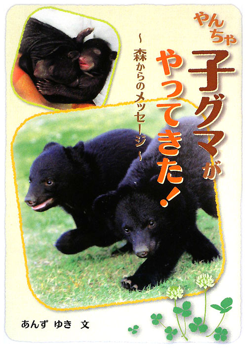 やんちゃ子グマがやってきた！　森からのメッセージ　　（ジュニア・ノンフィクション）