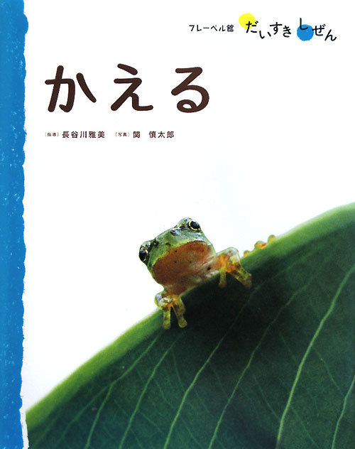 かえる　　（フレーベル館だいすきしぜん　みずのいきもの　１）