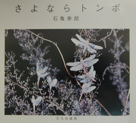 さよならトンボ　