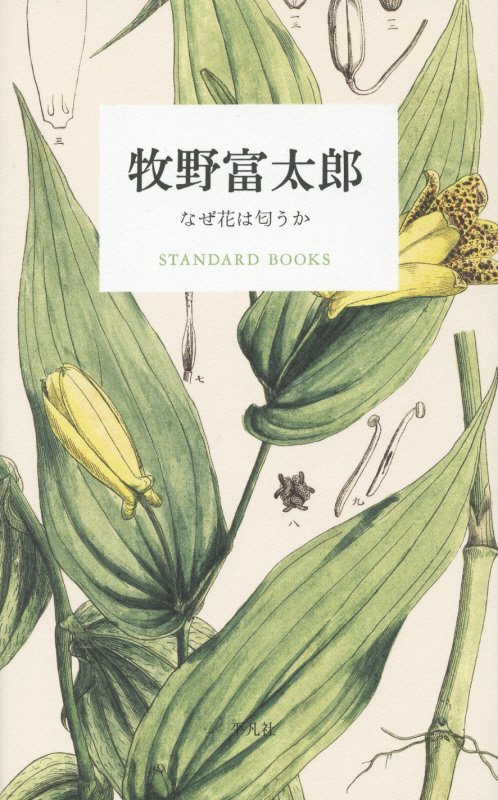 牧野富太郎　なぜ花は匂うか　　（ＳＴＡＮＤＡＲＤ　ＢＯＯＫＳ）