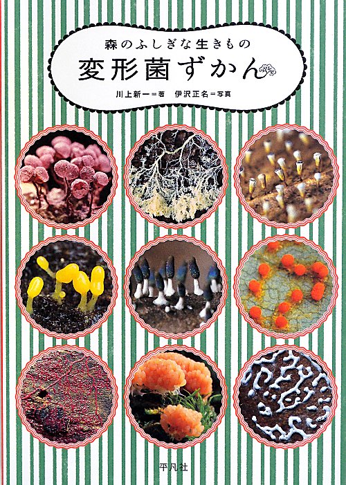 変形菌ずかん　森のふしぎな生きもの　