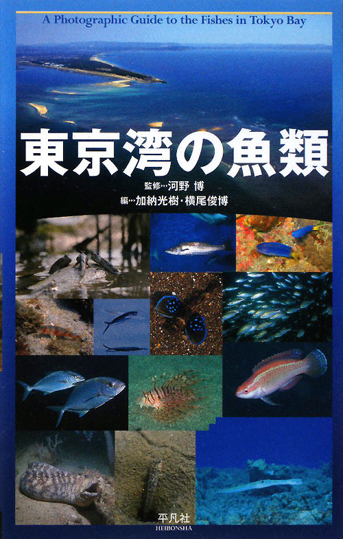 東京湾の魚類　