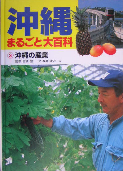 沖縄まるごと大百科　３　　（沖縄まるごと大百科）