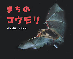 まちのコウモリ　　（ふしぎいっぱい写真絵本　７）