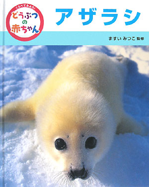 くらべてみよう！どうぶつの赤ちゃん　９　アザラシ