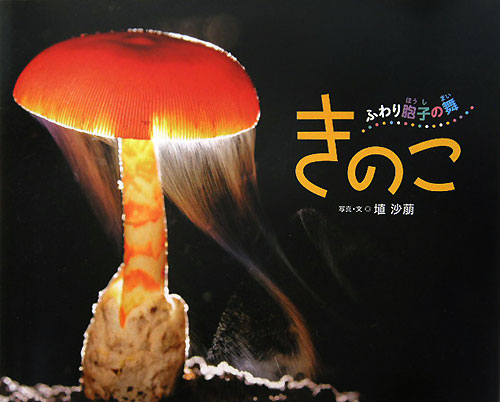 きのこ　ふわり胞子の舞　　（ふしぎいっぱい写真絵本　１８）
