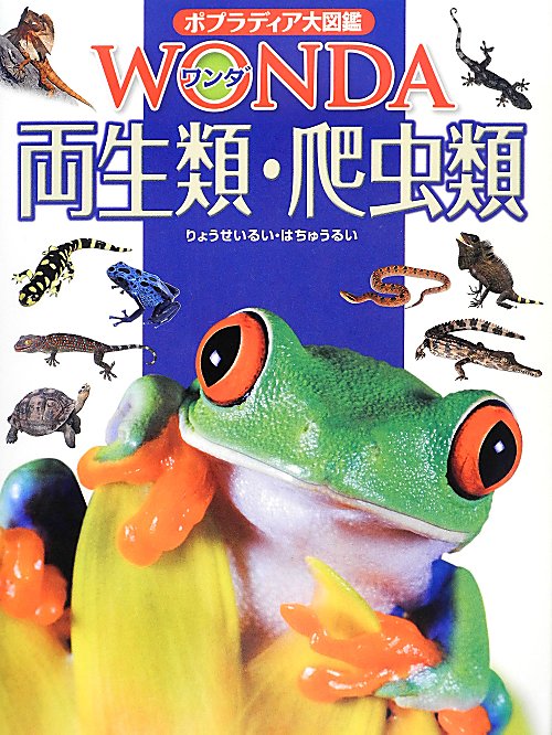 両生類・爬虫類　　（ポプラディア大図鑑ＷＯＮＤＡ）