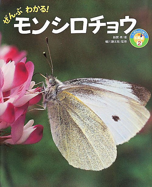 ぜんぶわかる！モンシロチョウ　　（しぜんのひみつ写真館）