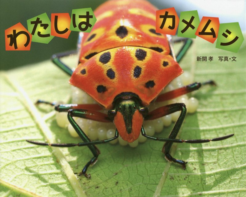 わたしはカメムシ　　（ふしぎいっぱい写真絵本）