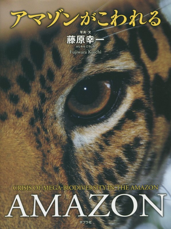 アマゾンがこわれる　
