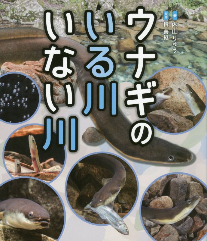 ウナギのいる川いない川　　（ポプラサイエンスランド）