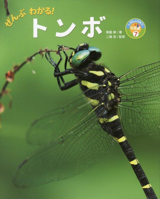 ぜんぶわかる！トンボ　　（しぜんのひみつ写真館）