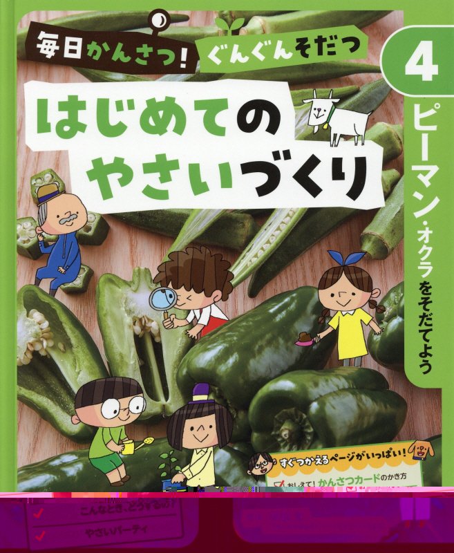 毎日かんさつ！ぐんぐんそだつはじめてのやさいづくり　４　ピーマン・オクラをそだてよう