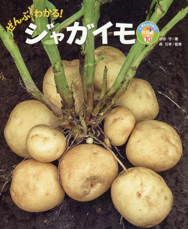 ぜんぶわかる！ジャガイモ　　（しぜんのひみつ写真館）