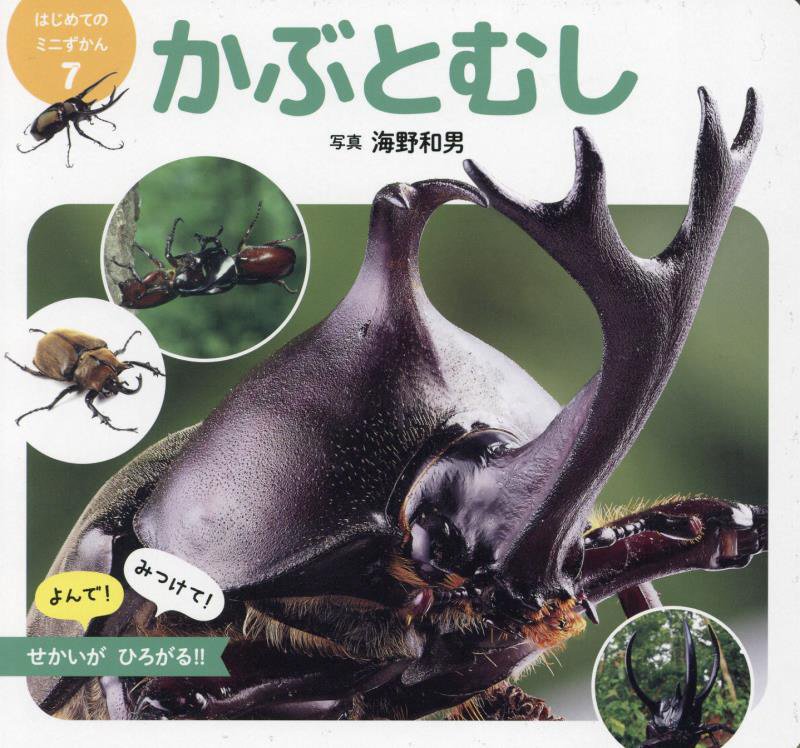かぶとむし　　（はじめてのミニずかん）