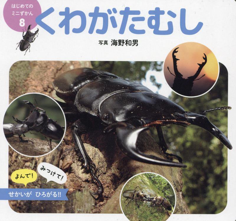 くわがたむし　　（はじめてのミニずかん）