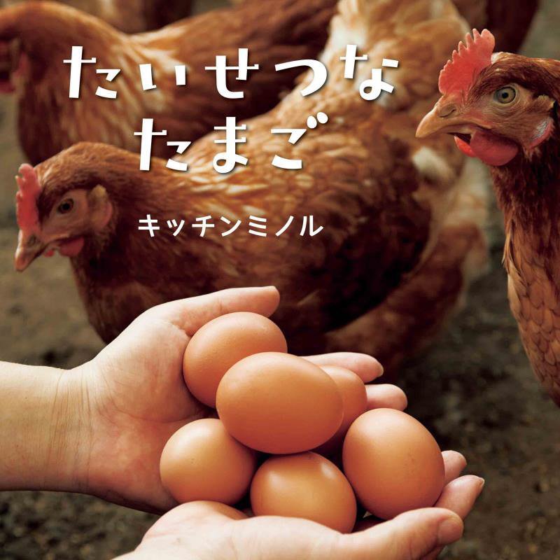 たいせつなたまご　　（コドモエのえほん）