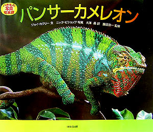 パンサーカメレオン　　（いきもの写真絵本館）