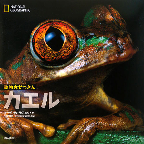 カエル　　（ナショナルジオグラフィック　動物大せっきん）