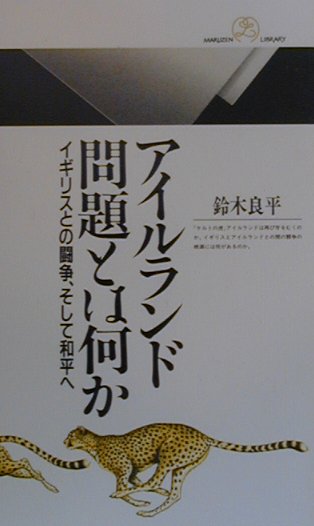 アイルランド問題とは何か　イギリスとの闘争、そして和平へ　　（丸善ライブラリー　３１５）