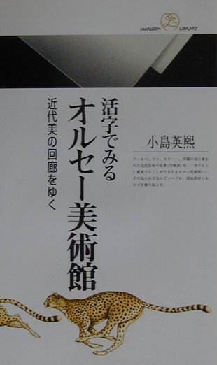 活字でみるオルセー美術館　近代美の回廊をゆく　　（丸善ライブラリー　３３５）
