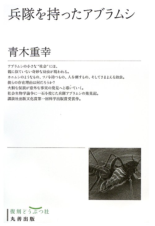 兵隊を持ったアブラムシ　