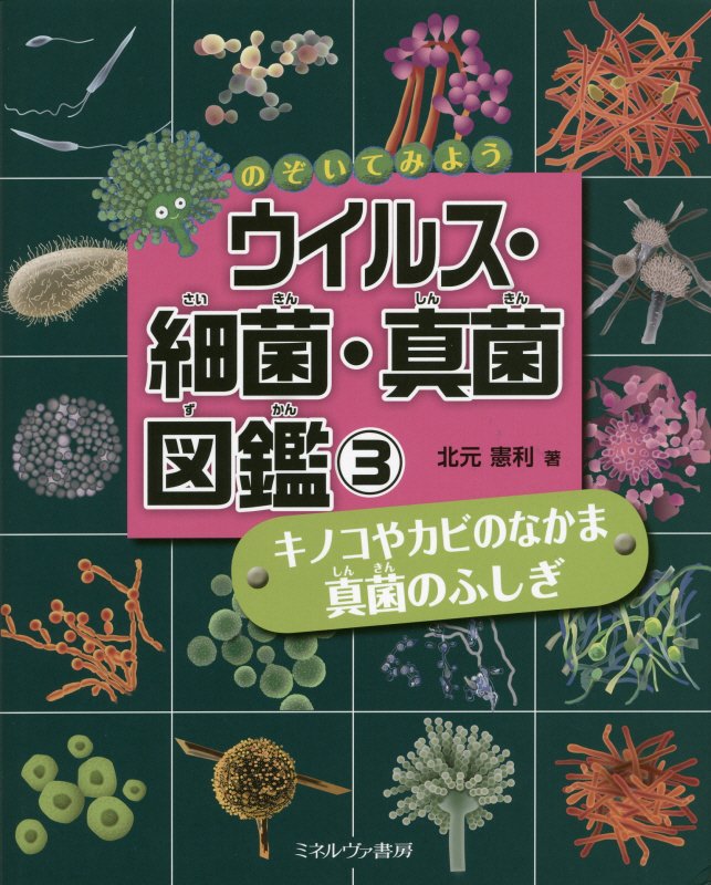 のぞいてみようウイルス・細菌・真菌図鑑　３　キノコやカビのなかま真菌のふしぎ