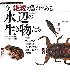 今、絶滅の恐れがある水辺の生き物たち　タガメ　ゲンゴロウ　マルタニシ　トノサマガエル　ニホンイシガ　　（ヤマケイ情報箱）