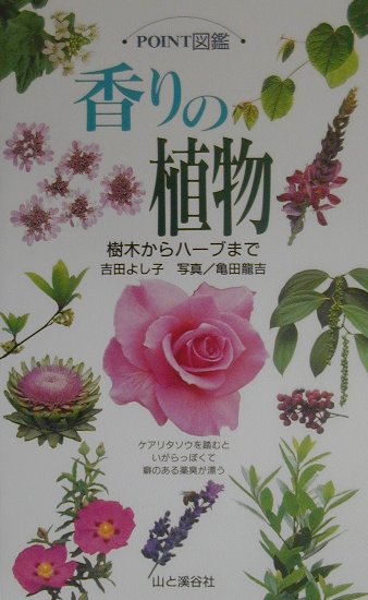 香りの植物　樹木からハーブまで　　（ＰＯＩＮＴ図鑑）