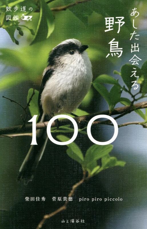 あした出会える野鳥１００　　（散歩道の図鑑）