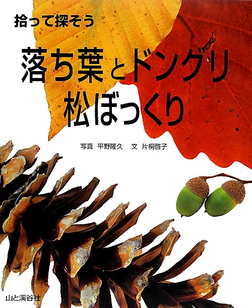 拾って探そう落ち葉とドングリ松ぼっくり　